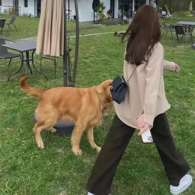 阴阳界生死恋